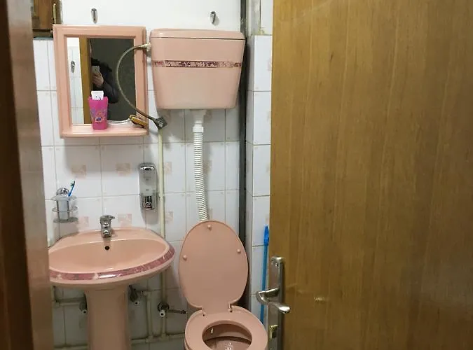 公寓 Centar 新帕扎尔