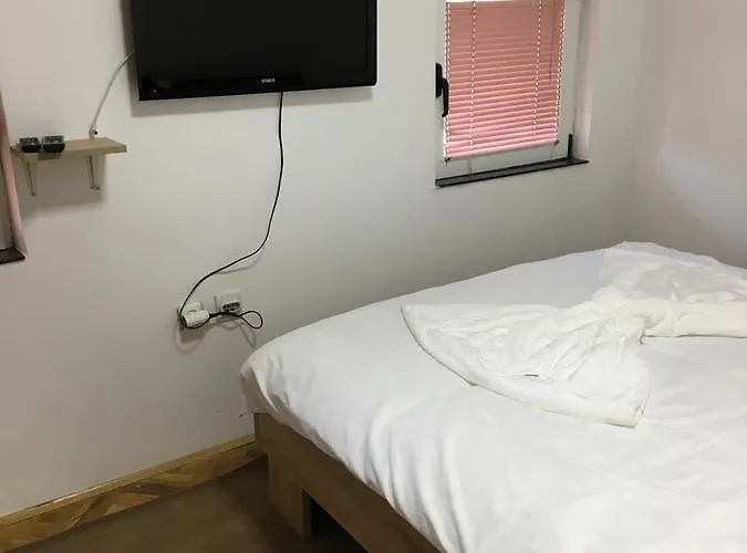 公寓 Centar 新帕扎尔